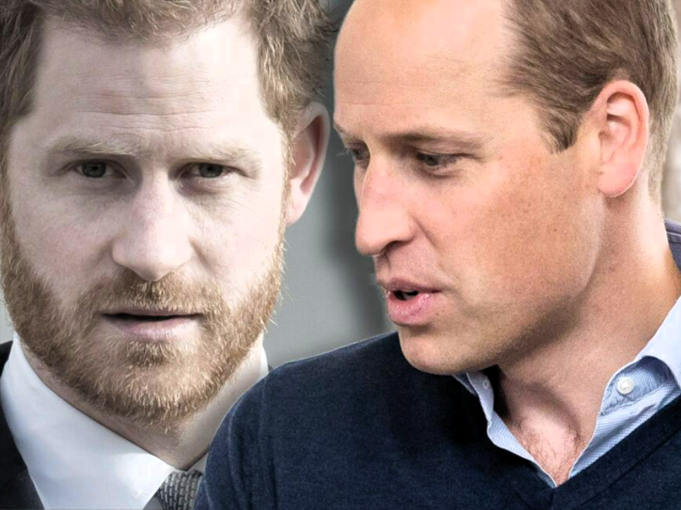 Royaler Zoff in den USA: Zwischen William und Harry fliegen die Fetzen!