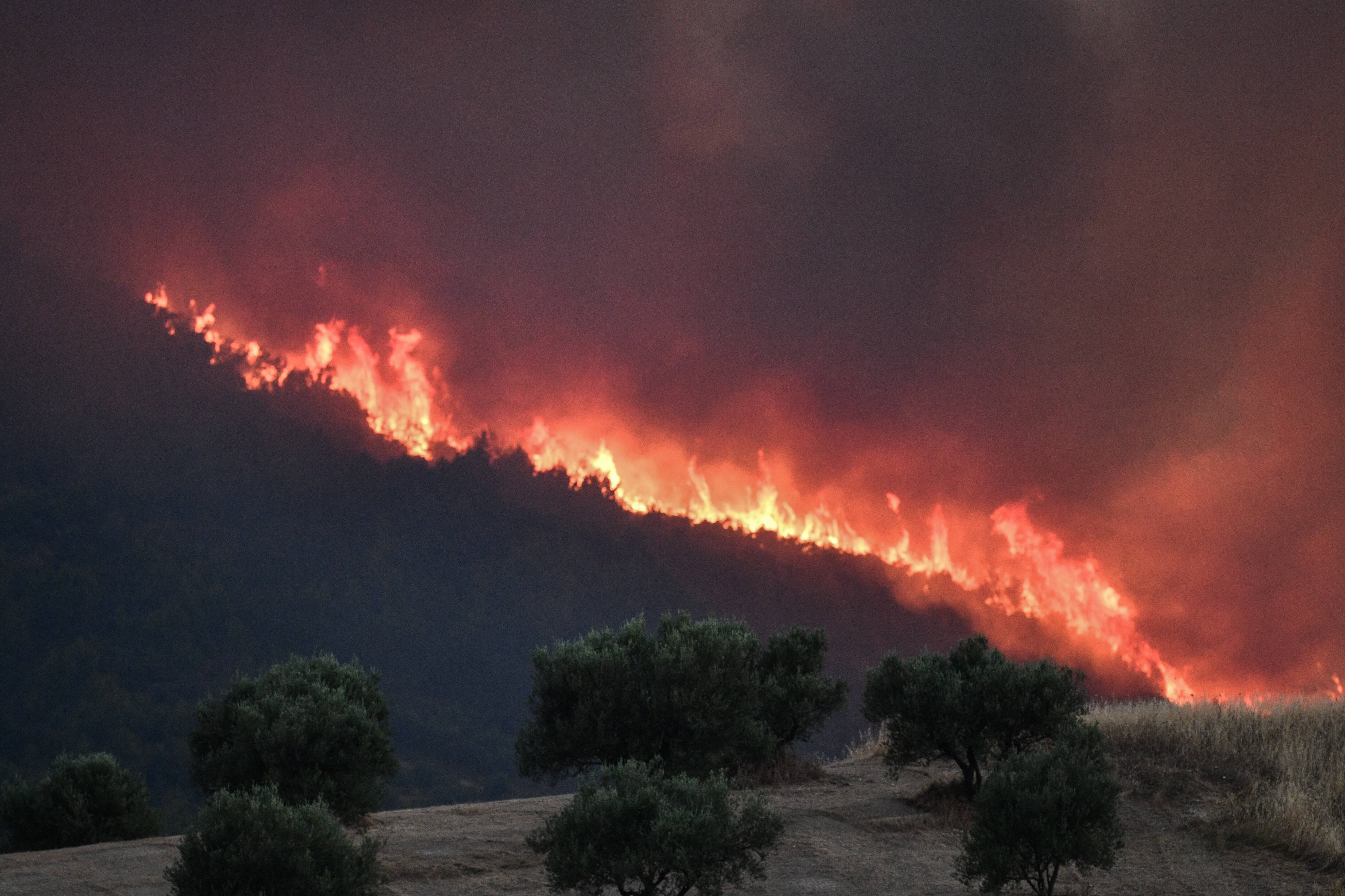 Urlaubsparadies in Flammen! Schwere Waldbrände toben in Österreich, auch Italien betroffen - Großeinsatz für die Einsatzkräfte