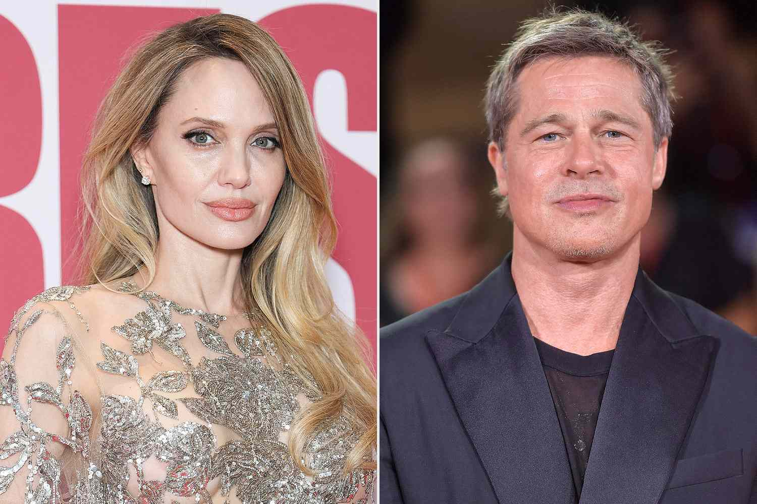 Angelina Jolie Scores Court Win — Brad Pitt Blocked From 22 Private Messages