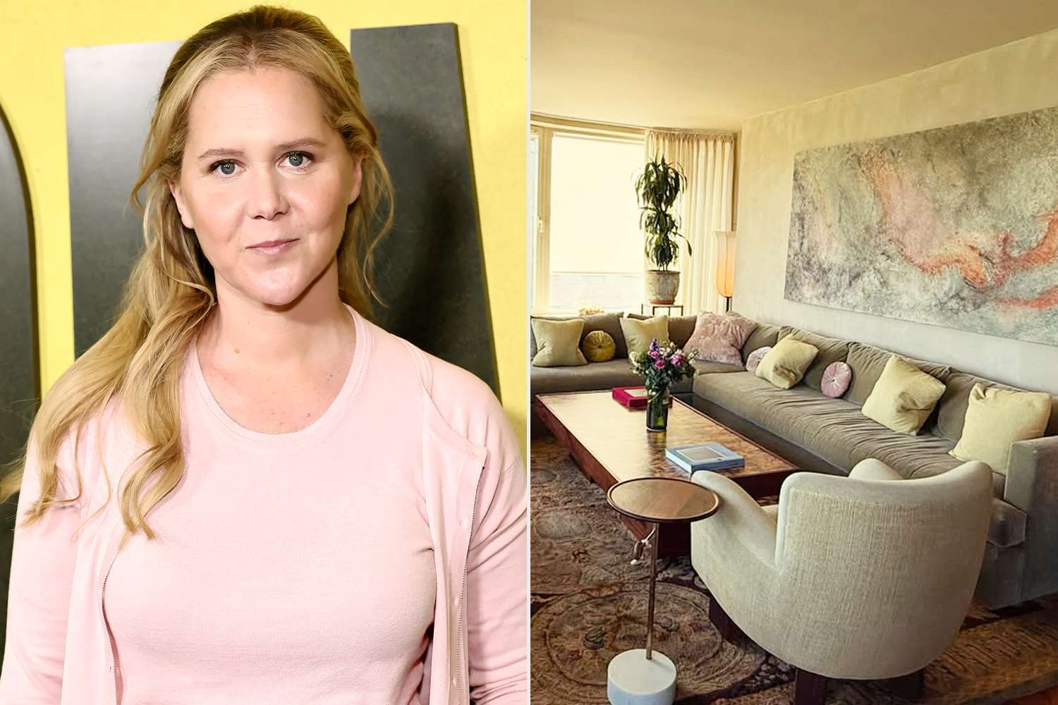 Amy Schumer's Stunning NYC Reveal — You Won't Believe the View