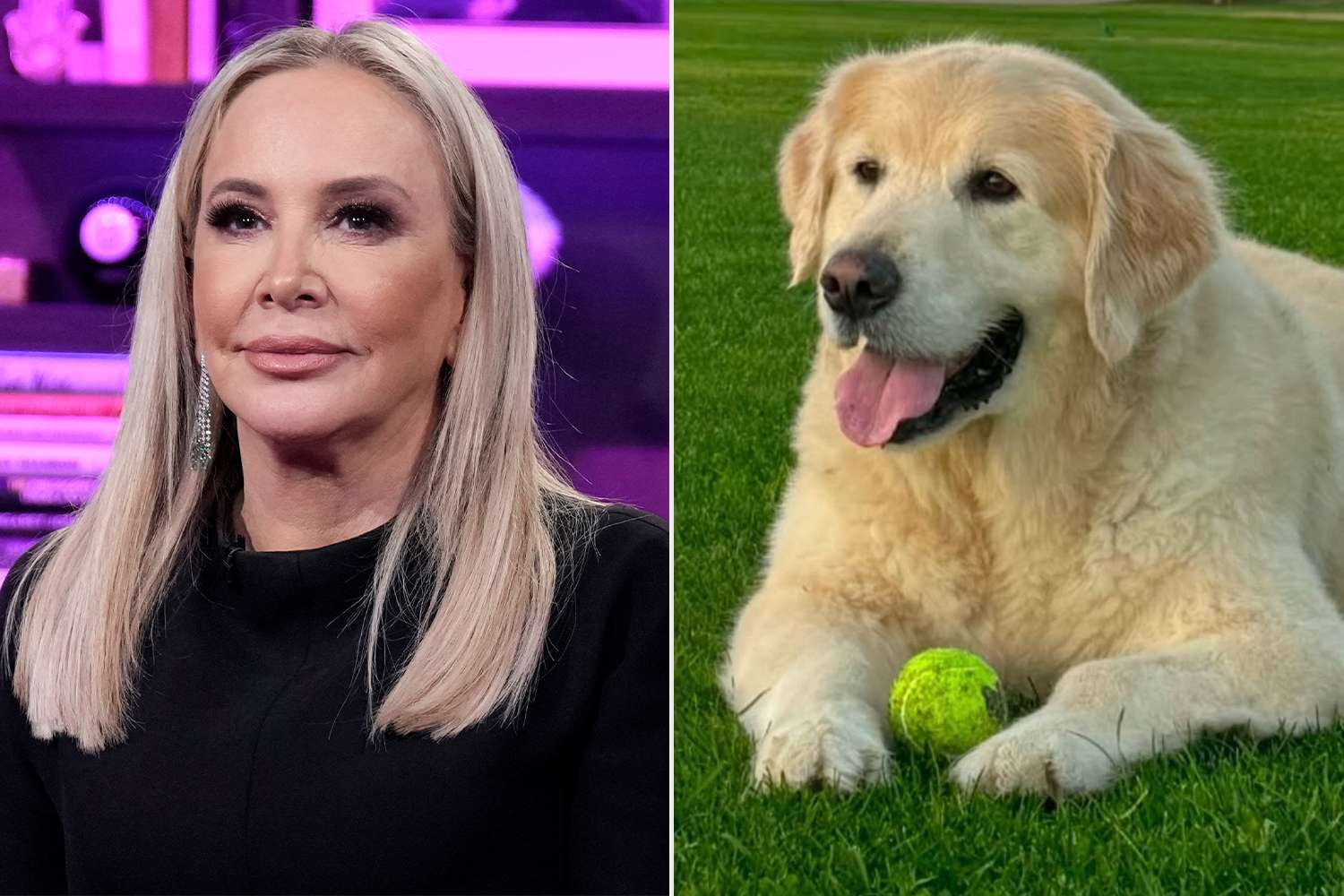 RHOC's Shannon Beador Reveals Archie Has Been Diagnosed With Brain Cancer — Fans Rally