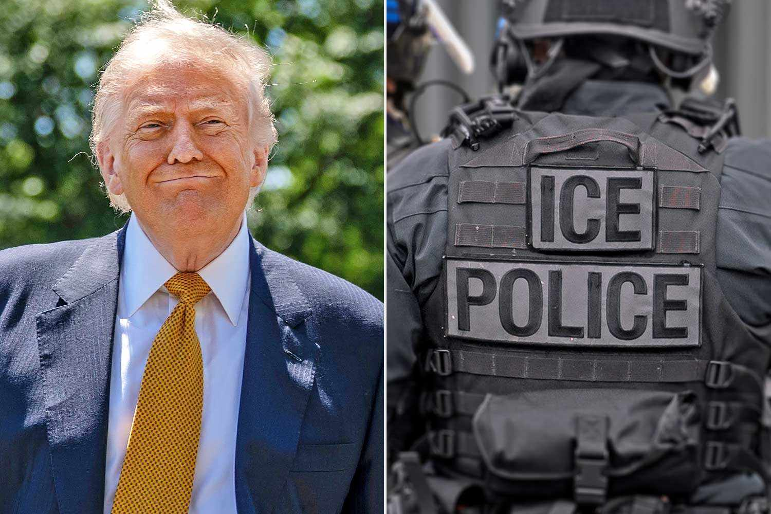 Trump Says He'd 'Do Anything' — Suggests ICE, National Guard Could Guard Polls