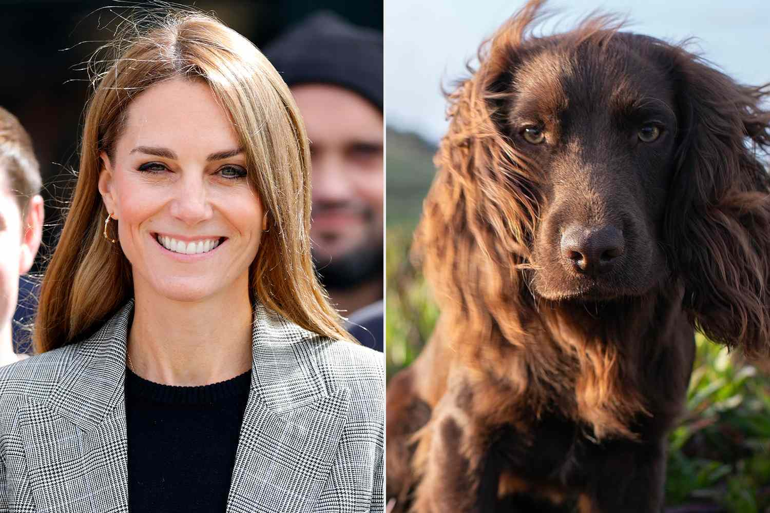 Kate Middleton’s New Pup Otto Is Already Shaking Up Royal Routine