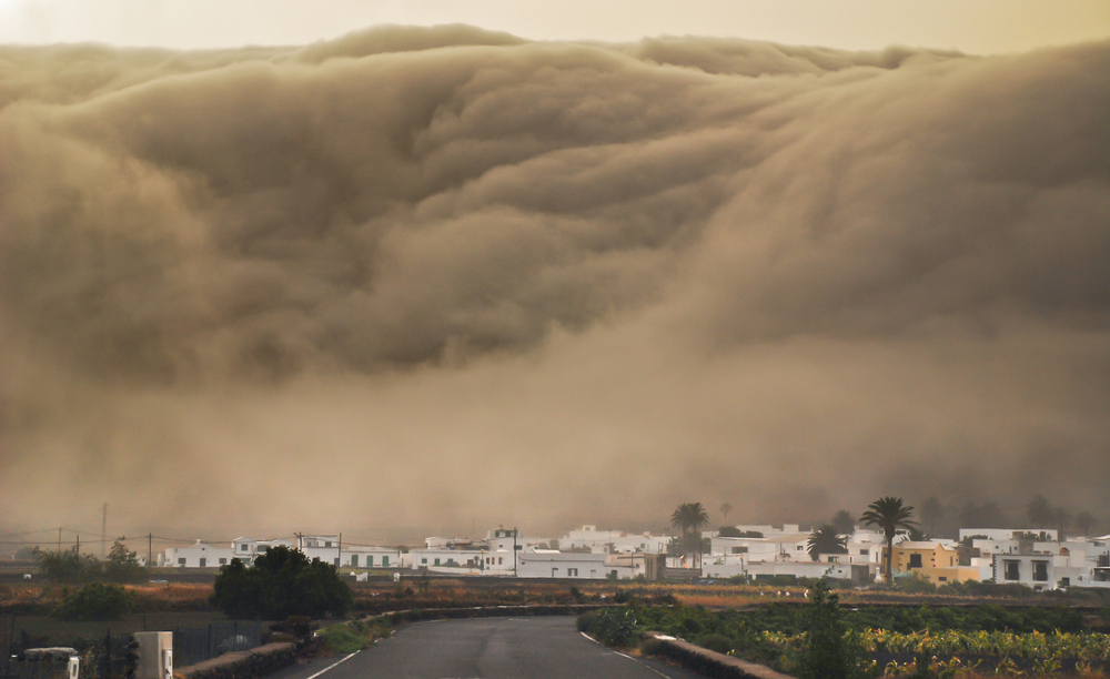 Massive Wave Drags Several Tourists into the Sea! Spanish Vacation Island Turns into a Nightmare